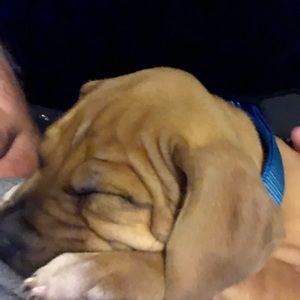 Meet your Posher, Linda